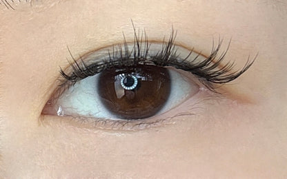 Featherlight Whisper – Natural Everyday Magnetic Lashes