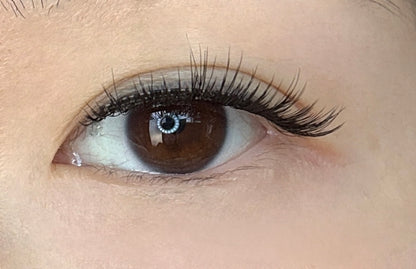 Lash Elixir – Natural Glow Magnetic Lashes