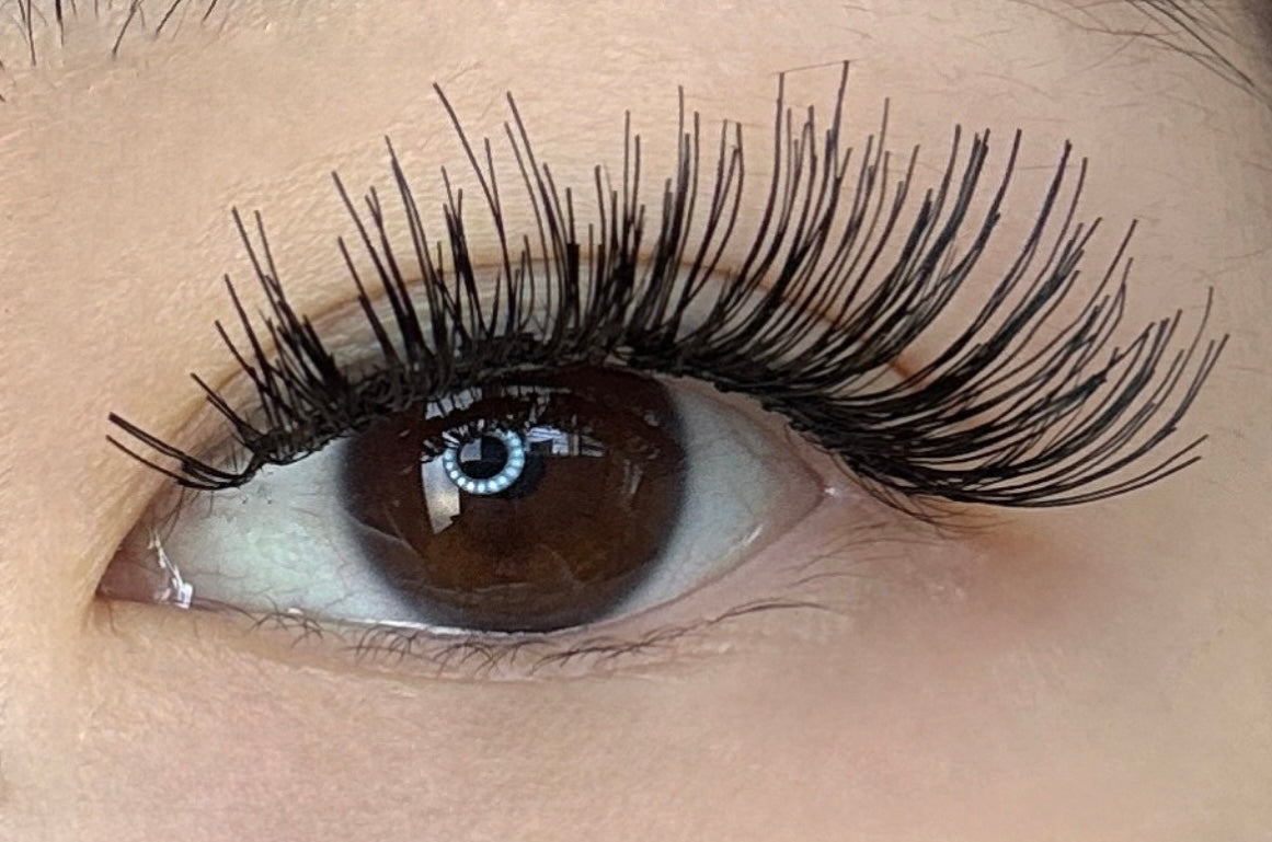 Velvet Bloom – Wispy Volume Magnetic Lashes