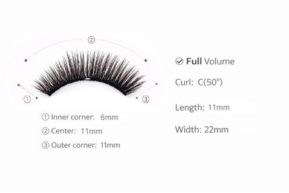 Asian Doll Lift – C-Curl Hybrid Magnetic Lashes